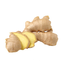 Chinese Mature Fresh Ginger For Sale(Mesh Bag Packaging)